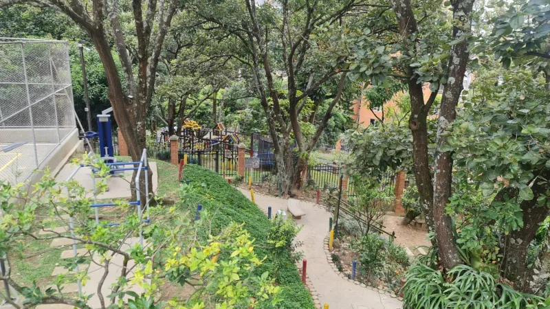 CASTROPOL POR CARULLA LAS PALMAS - Miniatura 6