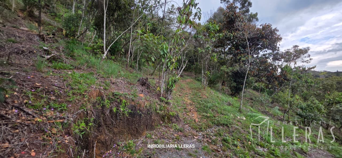 CASA CAMPESTE EN EL ORIENTE  - Miniatura 22