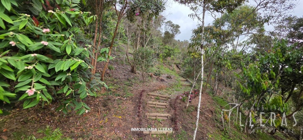 CASA CAMPESTE EN EL ORIENTE  - Miniatura 24